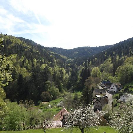 Studio A Murbach Au Calme Екстериор снимка