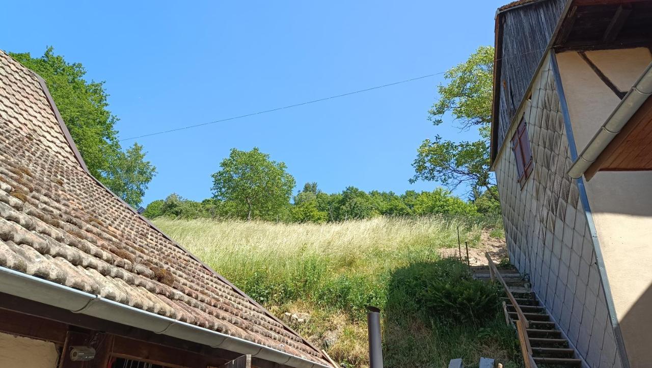 Studio A Murbach Au Calme Екстериор снимка