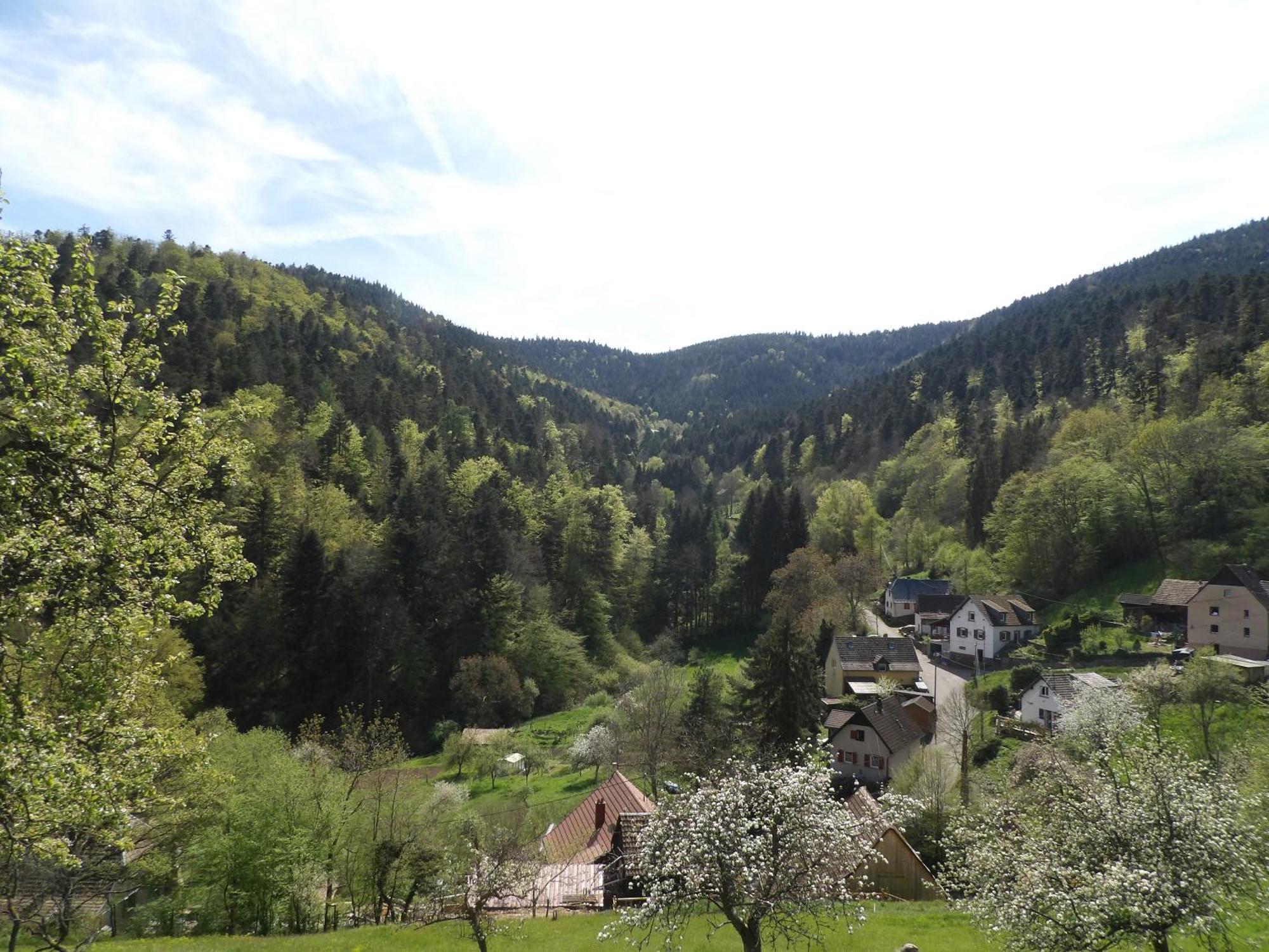 Studio A Murbach Au Calme Екстериор снимка