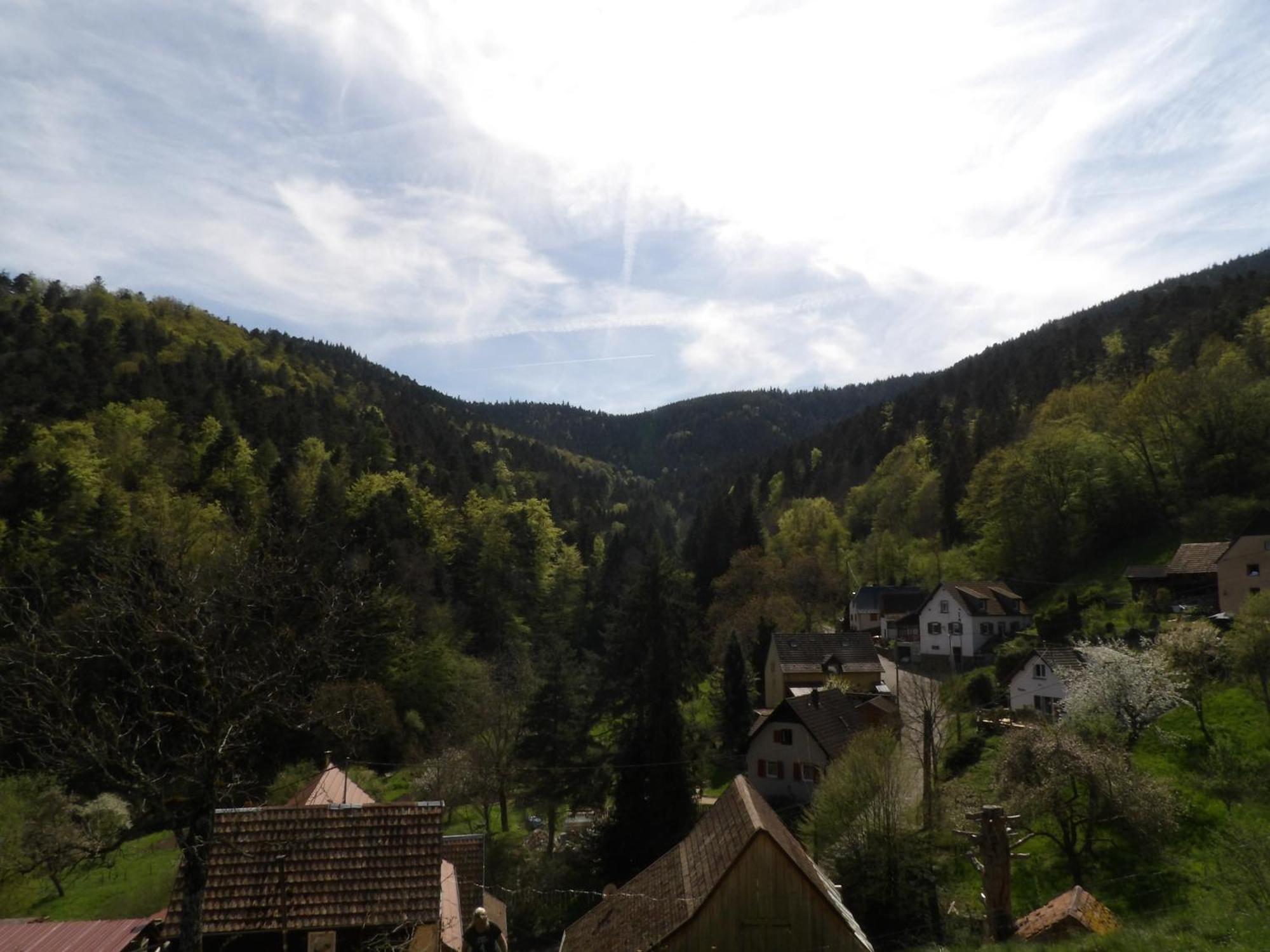 Studio A Murbach Au Calme Екстериор снимка